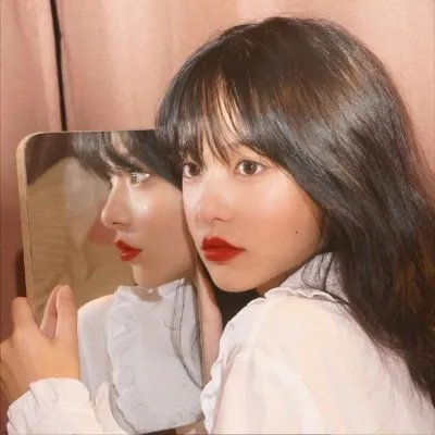 庇护棕榈树下